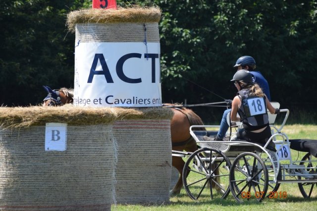 (091) Concours Attelage La F.Fouesnant 7-8 mai 2018