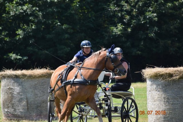 (091) Concours Attelage La F.Fouesnant 7-8 mai 2018