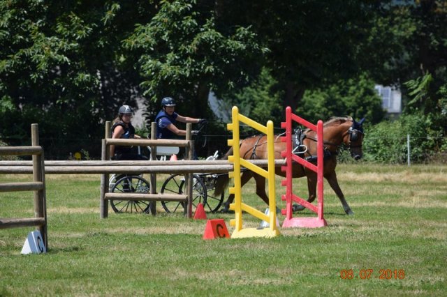 (091) Concours Attelage La F.Fouesnant 7-8 mai 2018