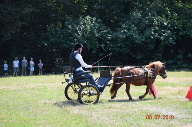 (091) Concours Attelage La F.Fouesnant 7-8 mai 2018