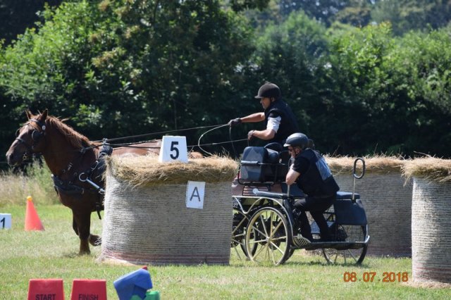 (091) Concours Attelage La F.Fouesnant 7-8 mai 2018