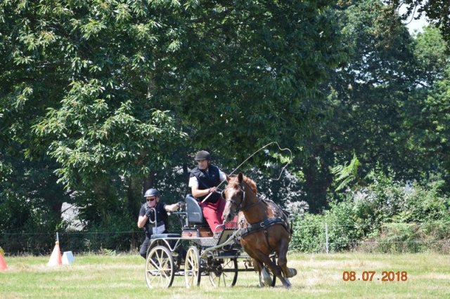 (091) Concours Attelage La F.Fouesnant 7-8 mai 2018