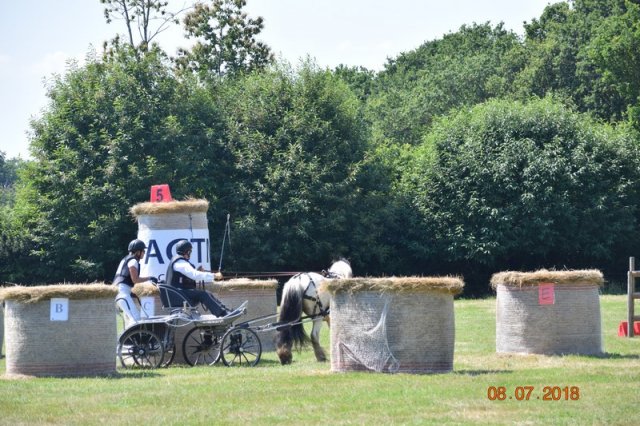 (091) Concours Attelage La F.Fouesnant 7-8 mai 2018
