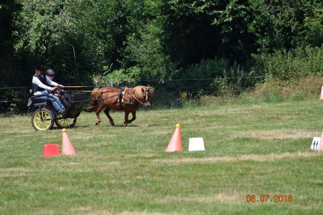 (091) Concours Attelage La F.Fouesnant 7-8 mai 2018