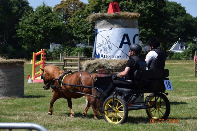 (091) Concours Attelage La F.Fouesnant 7-8 mai 2018