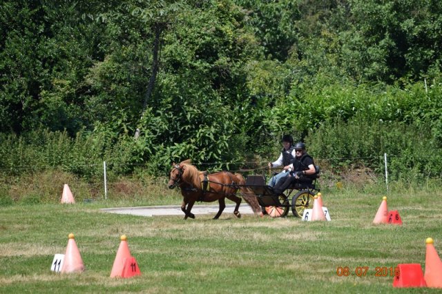 (091) Concours Attelage La F.Fouesnant 7-8 mai 2018