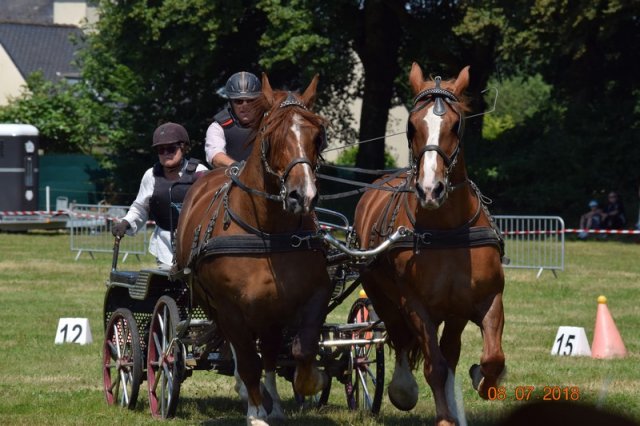 (091) Concours Attelage La F.Fouesnant 7-8 mai 2018