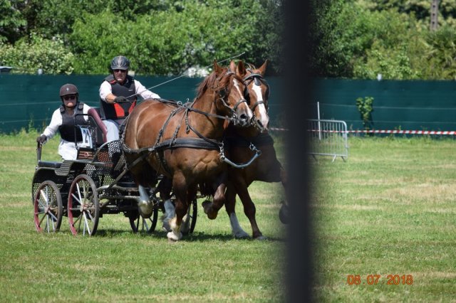 (091) Concours Attelage La F.Fouesnant 7-8 mai 2018
