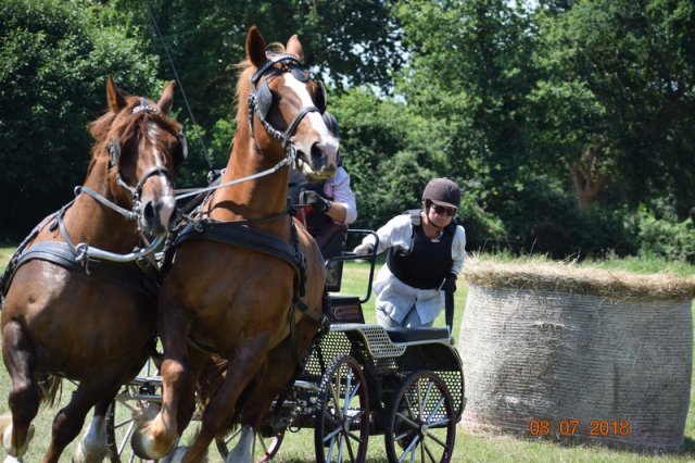 (091) Concours Attelage La F.Fouesnant 7-8 mai 2018