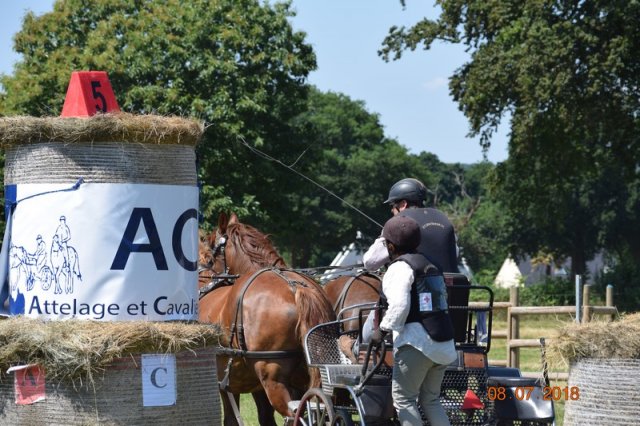 (091) Concours Attelage La F.Fouesnant 7-8 mai 2018