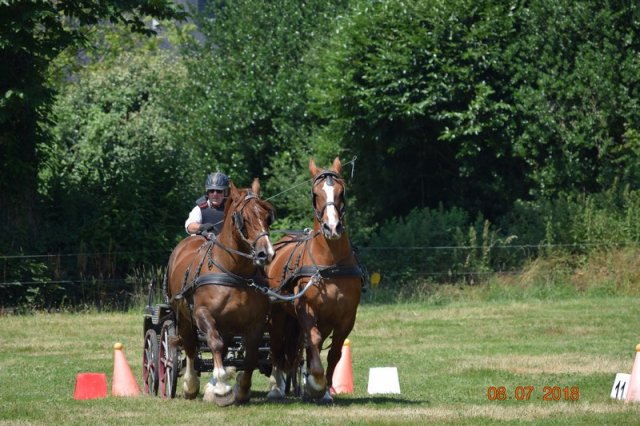(091) Concours Attelage La F.Fouesnant 7-8 mai 2018