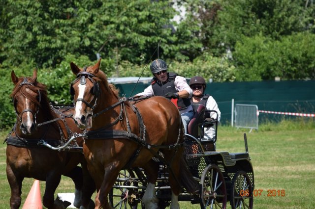 (091) Concours Attelage La F.Fouesnant 7-8 mai 2018