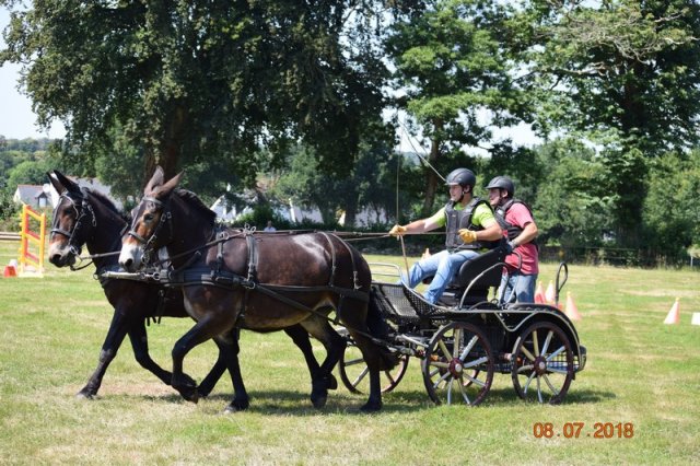 (091) Concours Attelage La F.Fouesnant 7-8 mai 2018