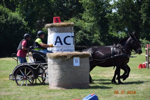 (091) Concours Attelage La F.Fouesnant 7-8 mai 2018