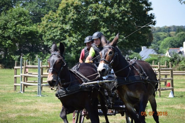 (091) Concours Attelage La F.Fouesnant 7-8 mai 2018