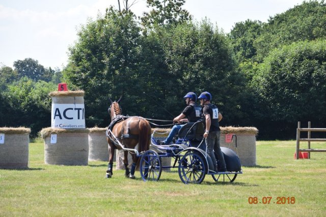 (091) Concours Attelage La F.Fouesnant 7-8 mai 2018