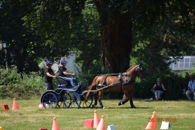 (091) Concours Attelage La F.Fouesnant 7-8 mai 2018
