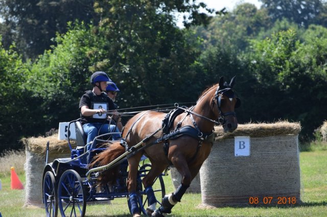 (091) Concours Attelage La F.Fouesnant 7-8 mai 2018