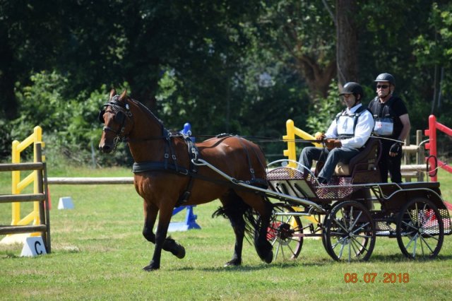 (091) Concours Attelage La F.Fouesnant 7-8 mai 2018