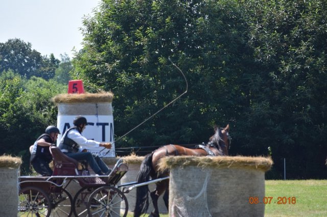 (091) Concours Attelage La F.Fouesnant 7-8 mai 2018
