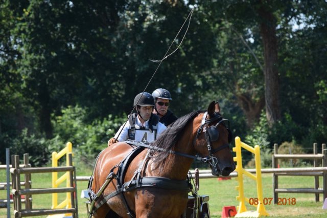 (091) Concours Attelage La F.Fouesnant 7-8 mai 2018