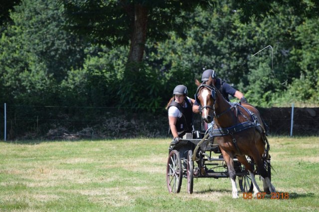(091) Concours Attelage La F.Fouesnant 7-8 mai 2018
