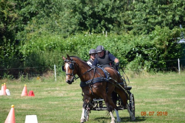 (091) Concours Attelage La F.Fouesnant 7-8 mai 2018