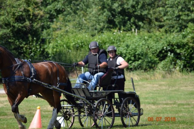 (091) Concours Attelage La F.Fouesnant 7-8 mai 2018