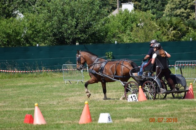 (091) Concours Attelage La F.Fouesnant 7-8 mai 2018