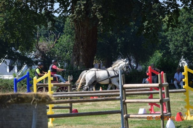 (091) Concours Attelage La F.Fouesnant 7-8 mai 2018