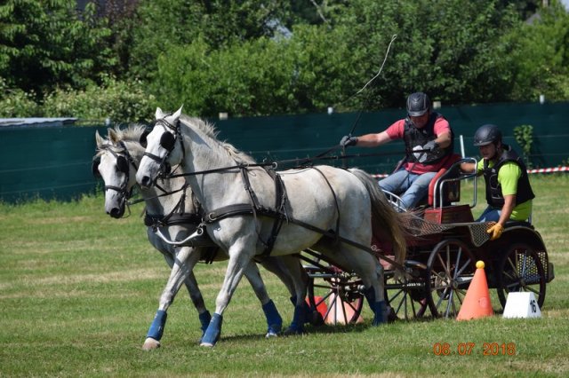 (091) Concours Attelage La F.Fouesnant 7-8 mai 2018