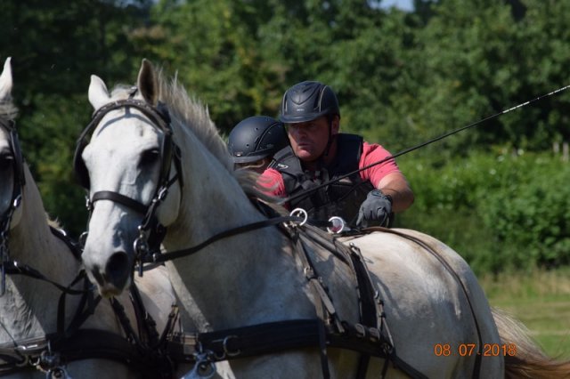 (091) Concours Attelage La F.Fouesnant 7-8 mai 2018