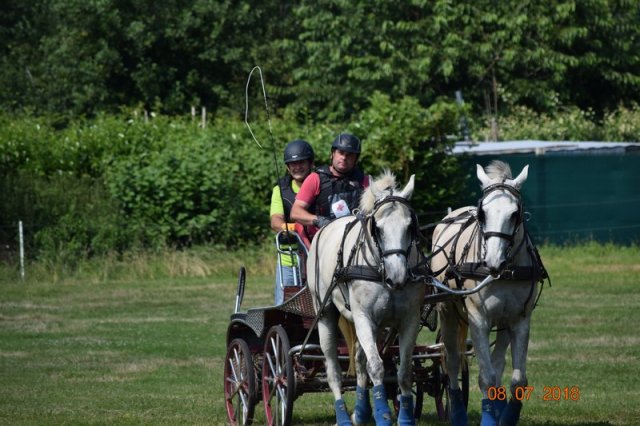 (091) Concours Attelage La F.Fouesnant 7-8 mai 2018