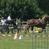 (091) Concours Attelage La F.Fouesnant 7-8 mai 2018