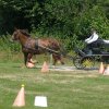 (091) Concours Attelage La F.Fouesnant 7-8 mai 2018