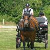(091) Concours Attelage La F.Fouesnant 7-8 mai 2018