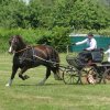 (091) Concours Attelage La F.Fouesnant 7-8 mai 2018