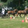 (091) Concours Attelage La F.Fouesnant 7-8 mai 2018