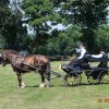 (091) Concours Attelage La F.Fouesnant 7-8 mai 2018