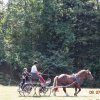 (091) Concours Attelage La F.Fouesnant 7-8 mai 2018