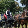 (091) Concours Attelage La F.Fouesnant 7-8 mai 2018