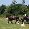 (091) Concours Attelage La F.Fouesnant 7-8 mai 2018