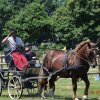 (091) Concours Attelage La F.Fouesnant 7-8 mai 2018