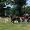 (091) Concours Attelage La F.Fouesnant 7-8 mai 2018