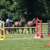 (091) Concours Attelage La F.Fouesnant 7-8 mai 2018