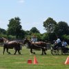 (091) Concours Attelage La F.Fouesnant 7-8 mai 2018