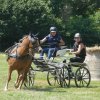 (091) Concours Attelage La F.Fouesnant 7-8 mai 2018