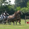 (091) Concours Attelage La F.Fouesnant 7-8 mai 2018