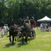 (091) Concours Attelage La F.Fouesnant 7-8 mai 2018