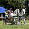 (091) Concours Attelage La F.Fouesnant 7-8 mai 2018